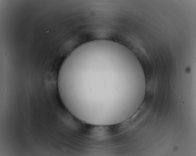 X0000103970179200809261842