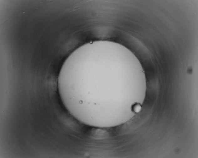 X0000103970180200809261842