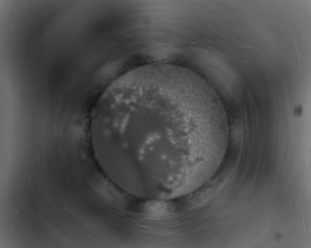 X0000103970181200809261842