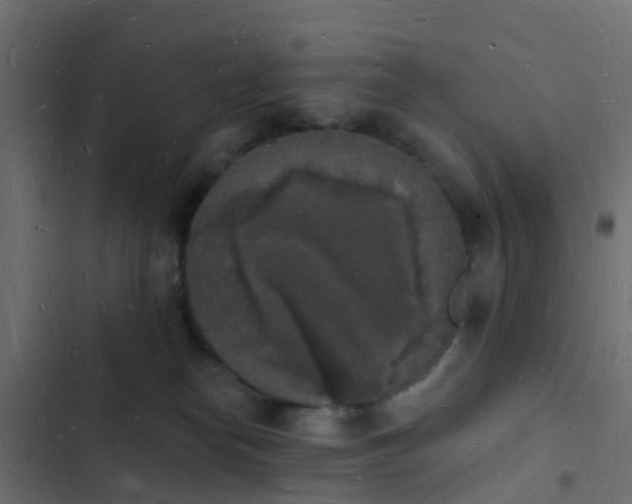 X0000103970182200809261842