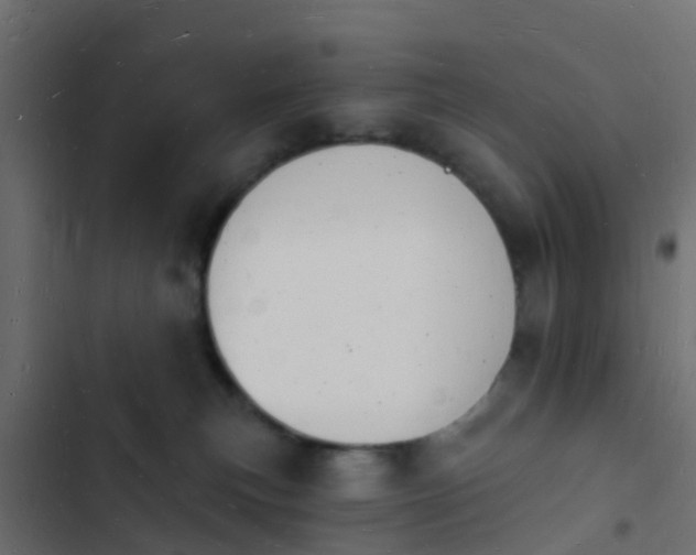 X0000103970183200809261842