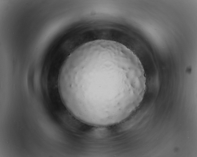 X0000103970189200809261842