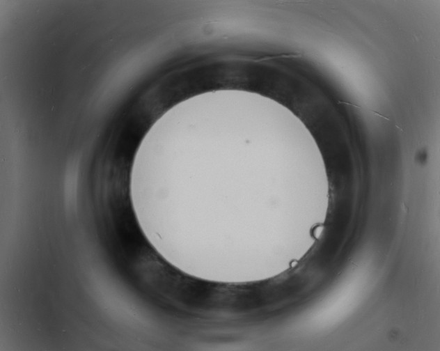 X0000103970190200809261842