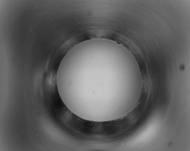 X0000103970191200809261842