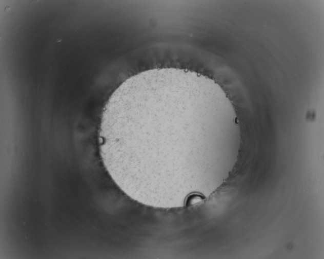 X0000103970192200809261842