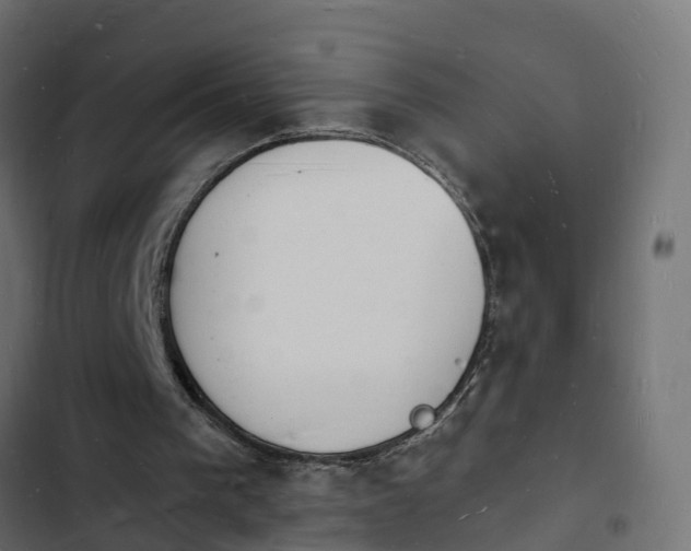 X0000103970193200809261841