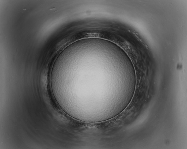 X0000103970194200809261841