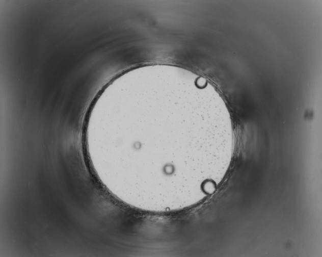 X0000103970195200809261841