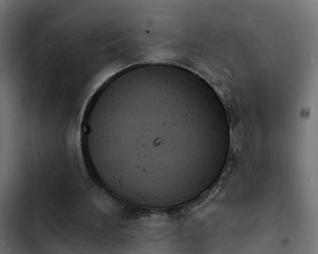 X0000103970196200809261841