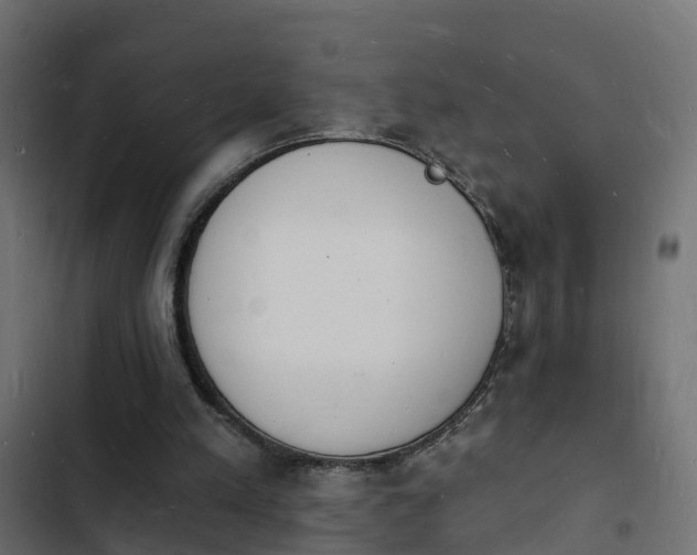 X0000103970197200809261841