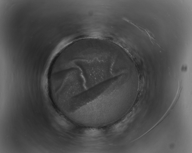 X0000103970198200809261841