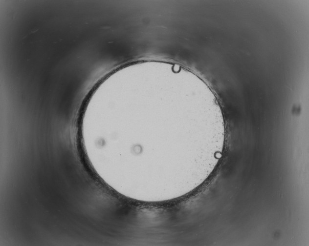 X0000103970199200809261841