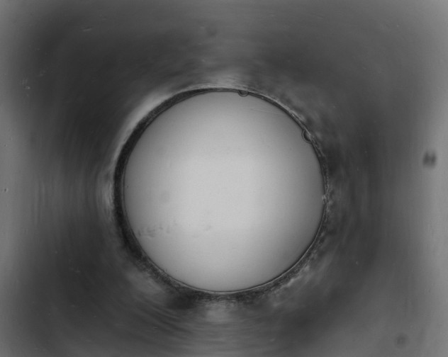 X0000103970200200809261841