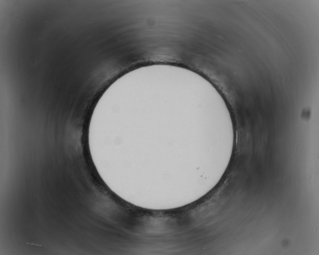 X0000103970201200809261841