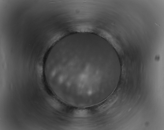 X0000103970202200809261841