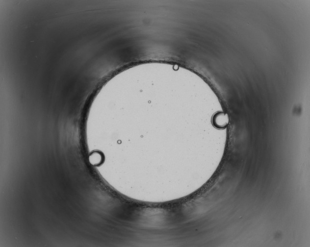 X0000103970203200809261841