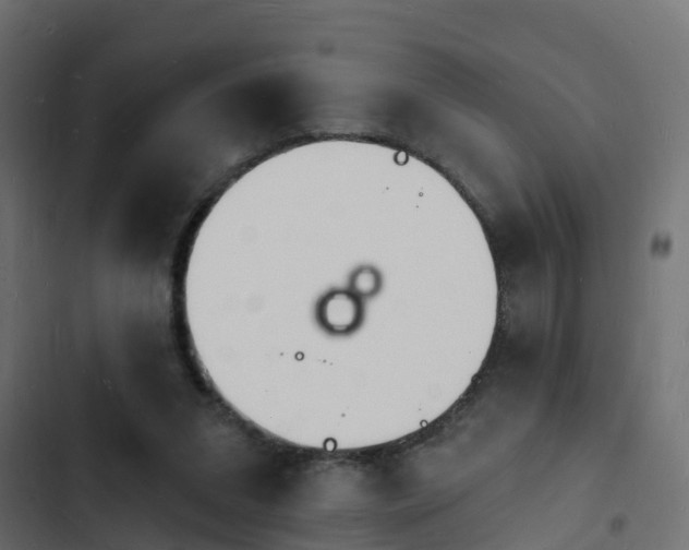 X0000103970207200809261841