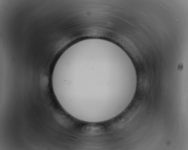 X0000103970208200809261841