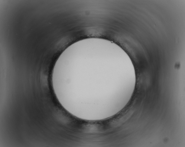 X0000103970209200809261841