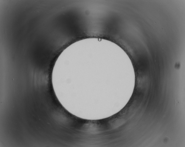 X0000103970211200809261841