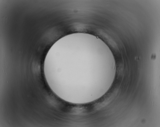 X0000103970213200809261841