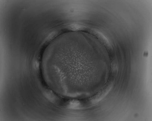 X0000103970214200809261841