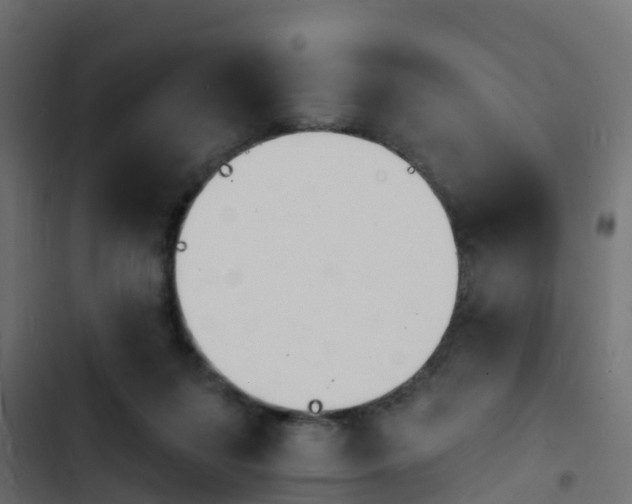 X0000103970215200809261841