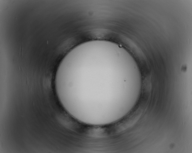 X0000103970217200809261841