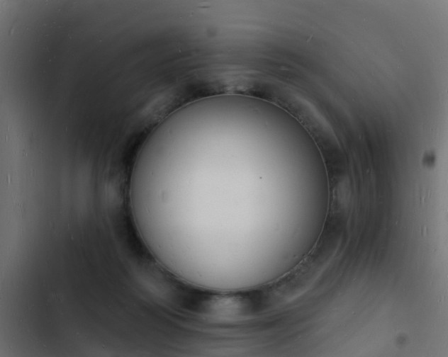 X0000103970218200809261841