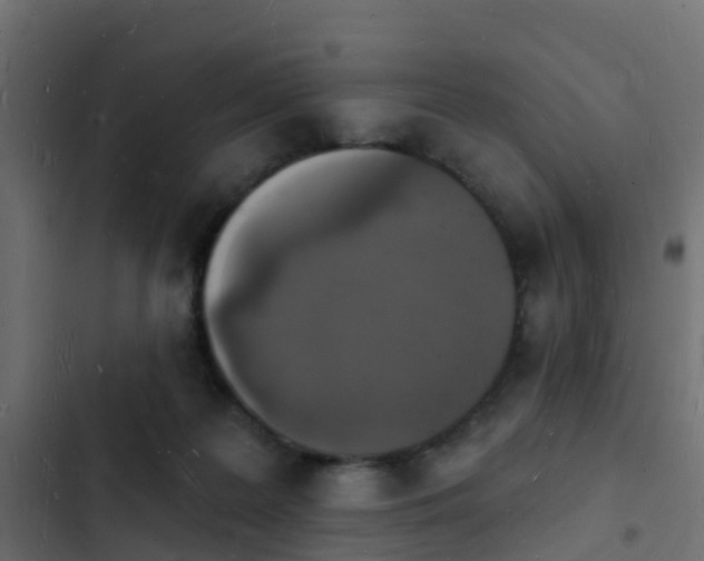 X0000103970219200809261841