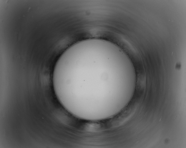 X0000103970220200809261841