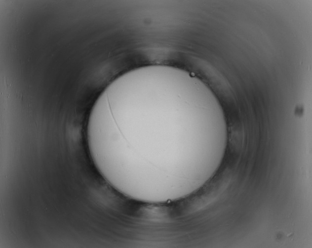 X0000103970221200809261841