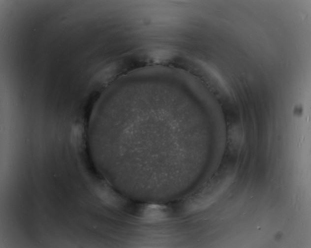 X0000103970222200809261841