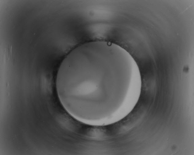 X0000103970223200809261841