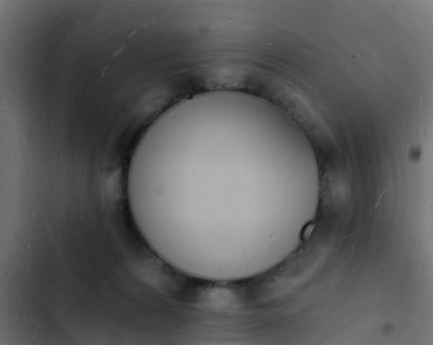 X0000103970224200809261841