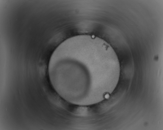 X0000103970227200809261841