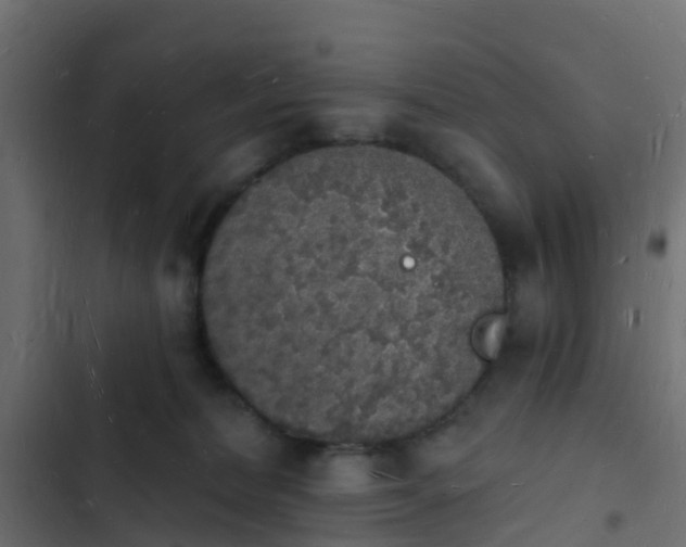 X0000103970228200809261841