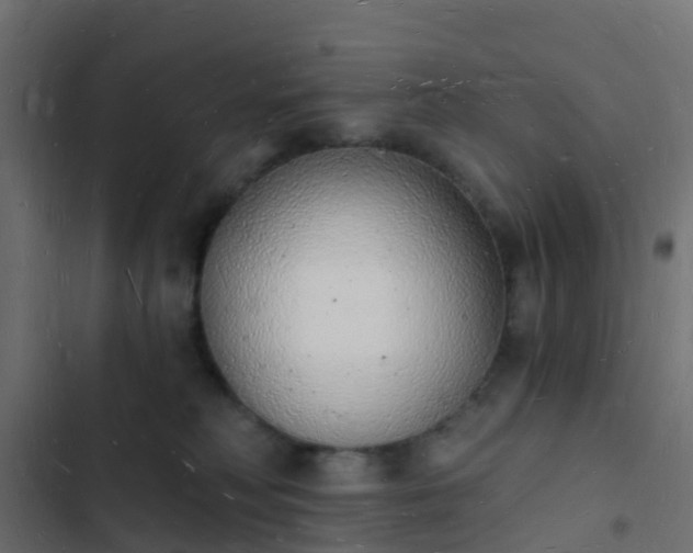 X0000103970230200809261841