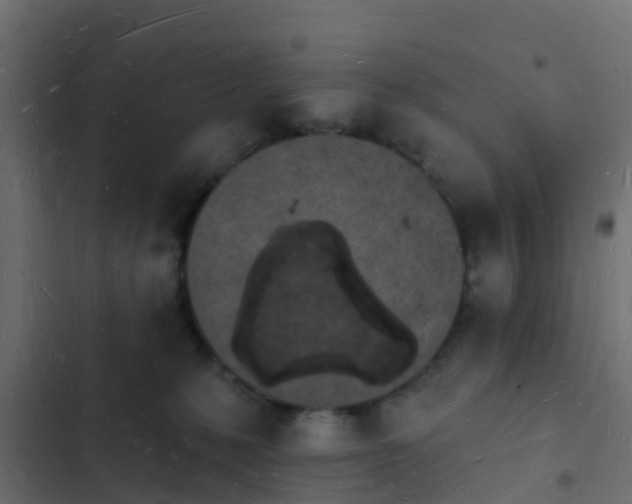 X0000103970231200809261841