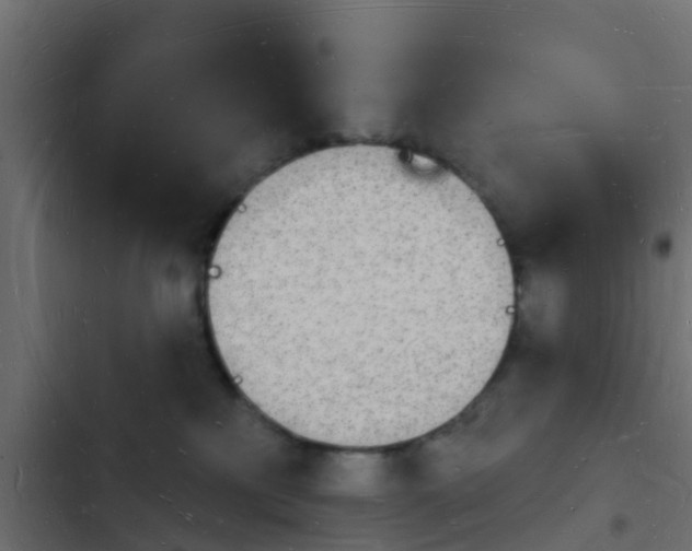 X0000103970233200809261841