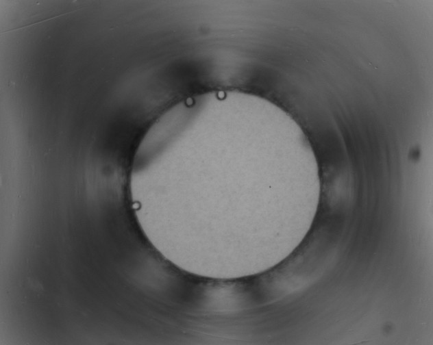 X0000103970235200809261841