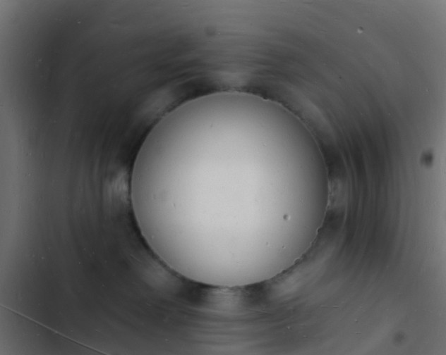 X0000103970238200809261841