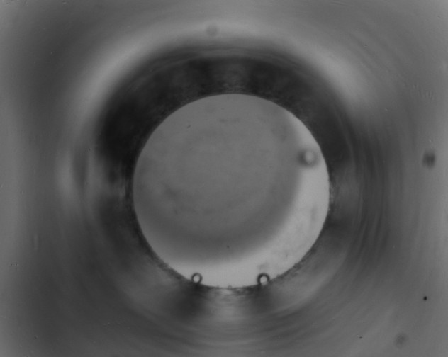 X0000103970239200809261840