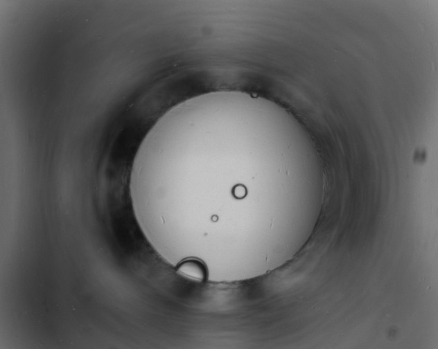 X0000103970240200809261840