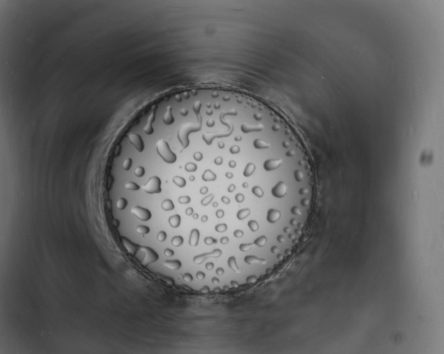 X0000103970241200809261840