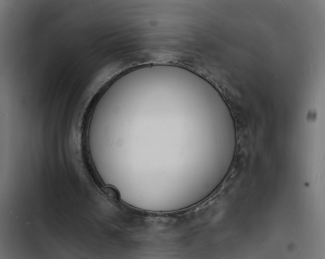 X0000103970242200809261840