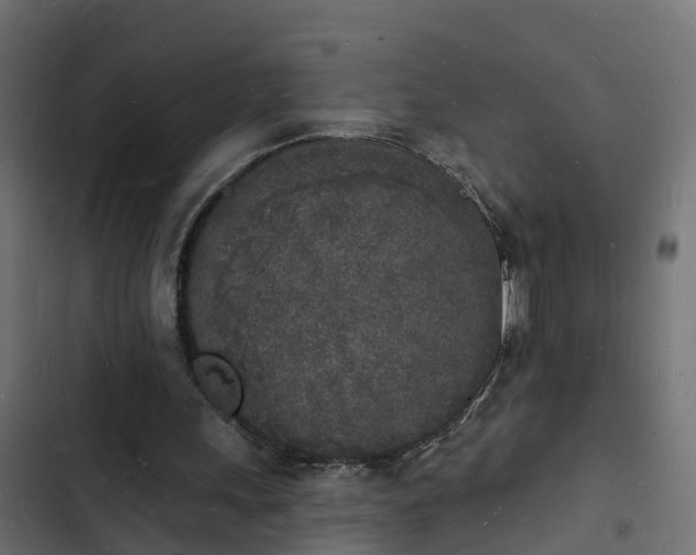 X0000103970243200809261840