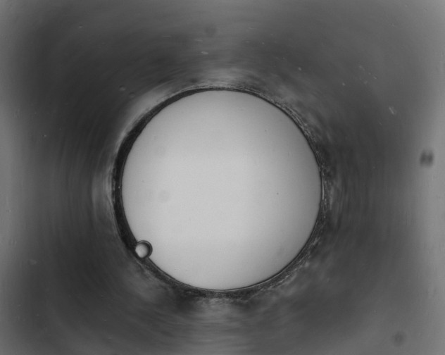 X0000103970244200809261840