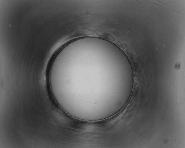 X0000103970246200809261840