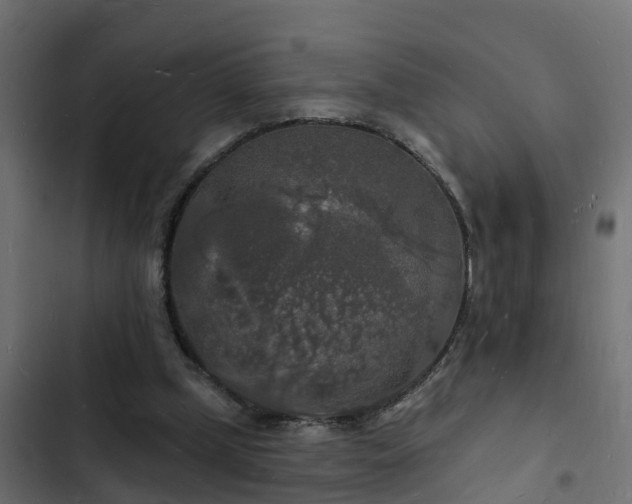 X0000103970249200809261840